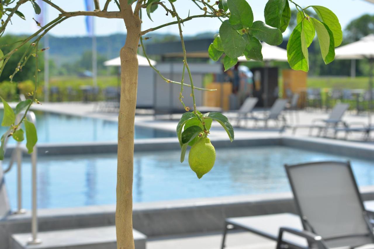 Mk Hotel Tirana Rinas Екстериор снимка The swimming pool